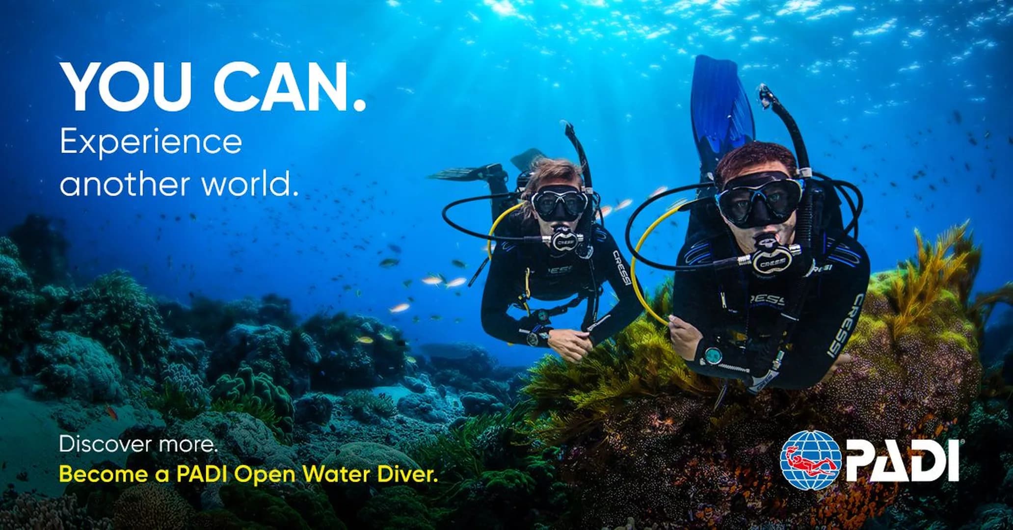 PADI Review: A Look at the World’s Leading Scuba Diving Organization